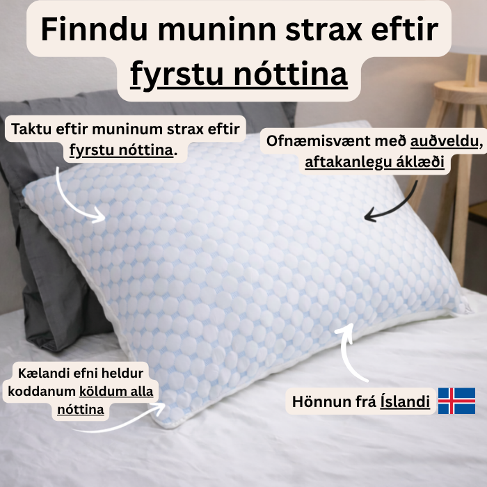 The Nordic Pillow™